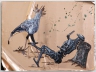 Evolutionary Move (Secretarybird)