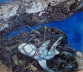 Do not throw away (Sea Debris),  detail